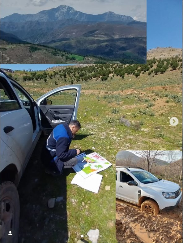 Field Work